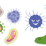bacterias virus corona disease 5545353