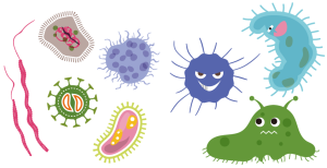 bacterias virus corona disease 5545353