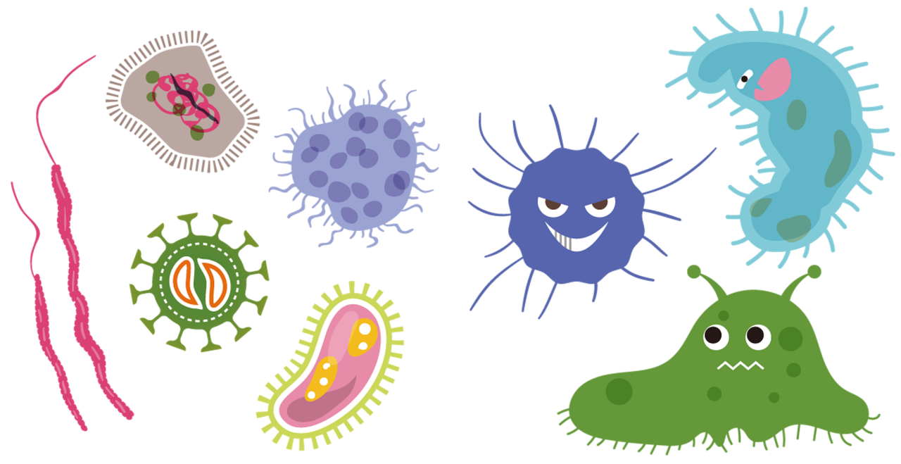 bacterias virus corona disease 5545353