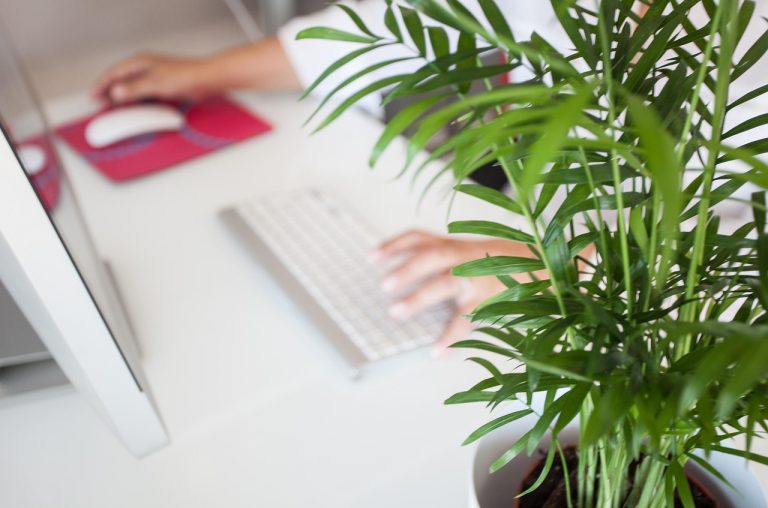 telework office entrepreneurs 5046230